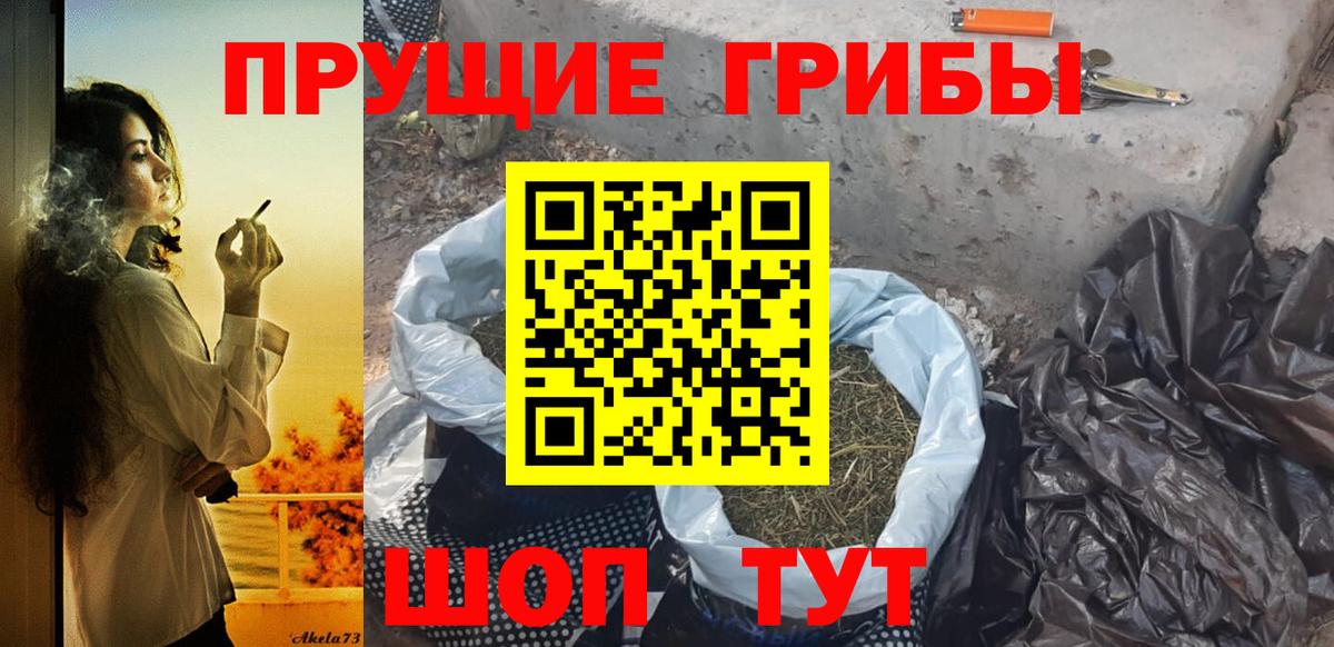 Псилоцибиновые грибы GOLDEN TEACHER  Вход с VPN  Миллерово 